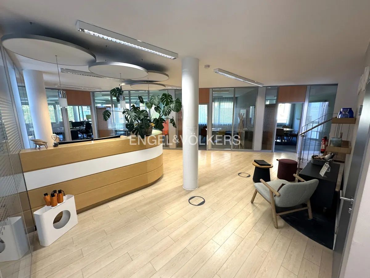 Office reception area with a curved wood and white reception desk, plants, and seating. The floor is light wood.
