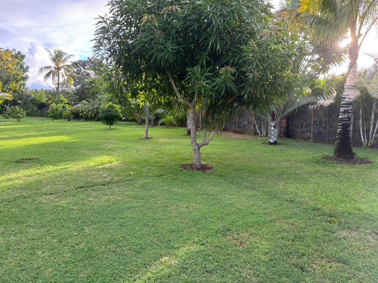 A lush green lawn with trees, including palms, under a partly cloudy sky. A stone wall borders the property.