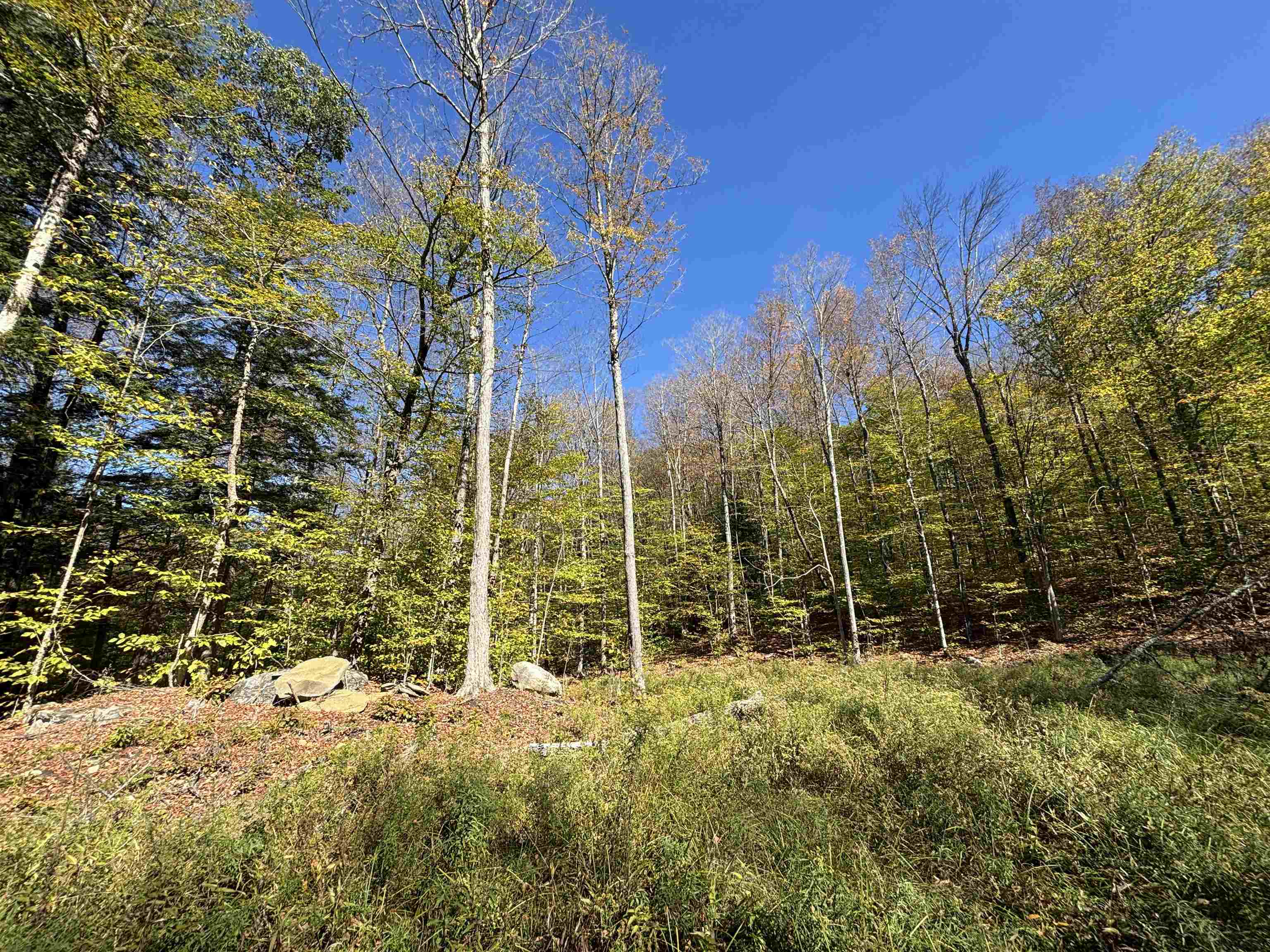 Hillside Parcel with Mountain Views