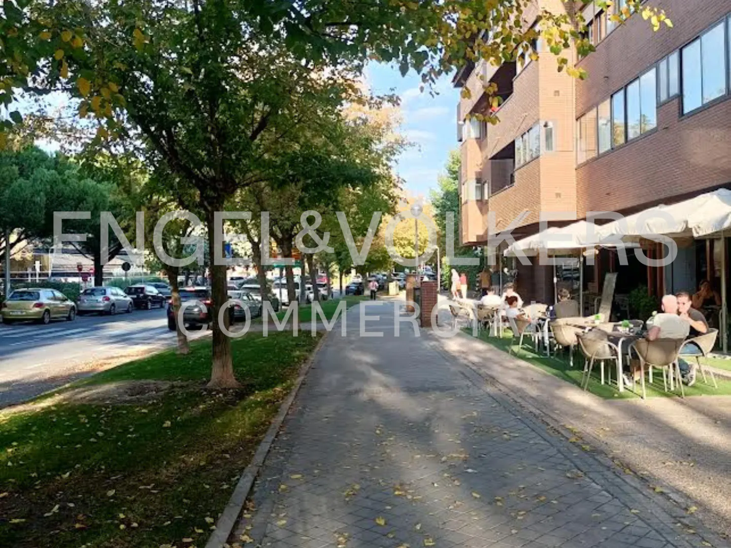 Street view with trees, cars, and a restaurant with outdoor seating. People are sitting at tables under white umbrellas.