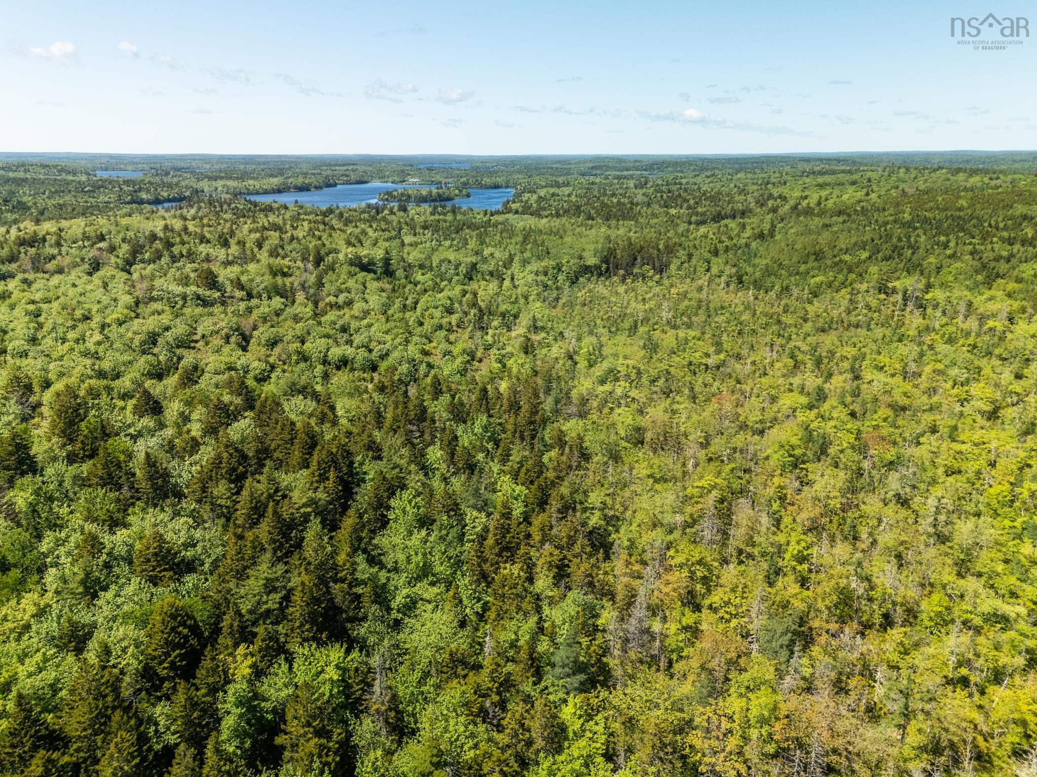 Discover the Potential of this 28.64 Acre Woodlot
