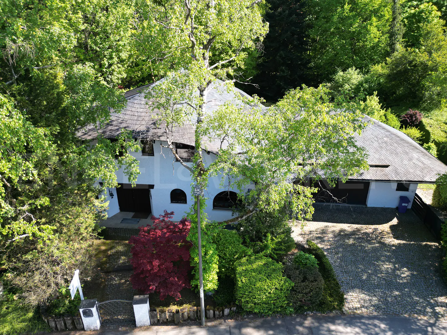 Aerial view of a white house with a gray roof, surrounded by green trees and bushes. A red Japanese maple is in the front yard.
