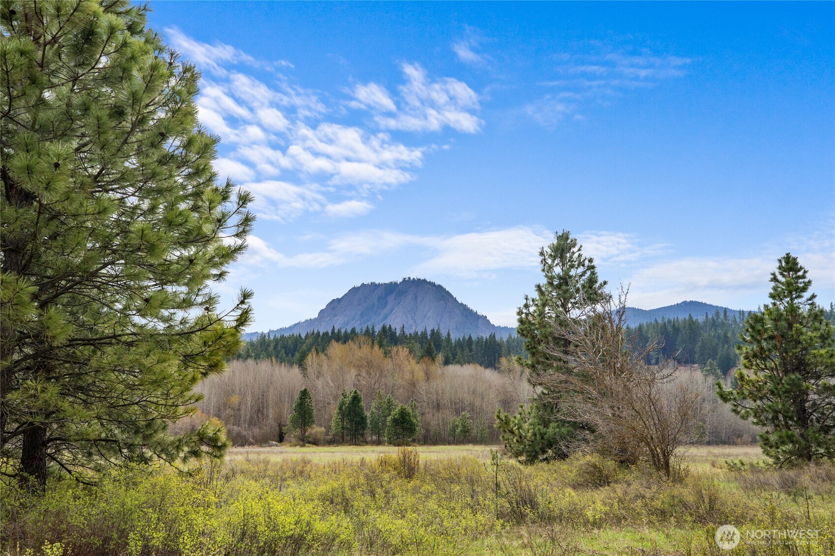A Blank Canvas with Big Views