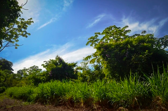 Discover the Ultimate Sanctuary in La Reserva Camaronal