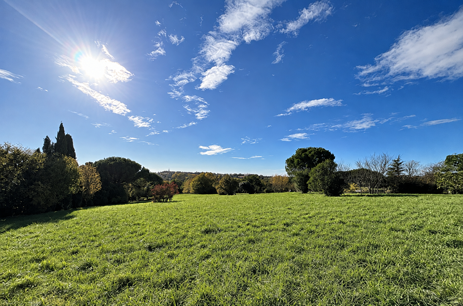 5,892 m² of preserved nature for a signature single-storey home