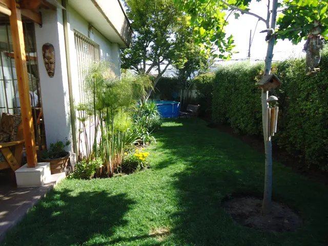 A backyard with green grass, a blue above-ground pool, and a white house with a wooden mask on the wall.