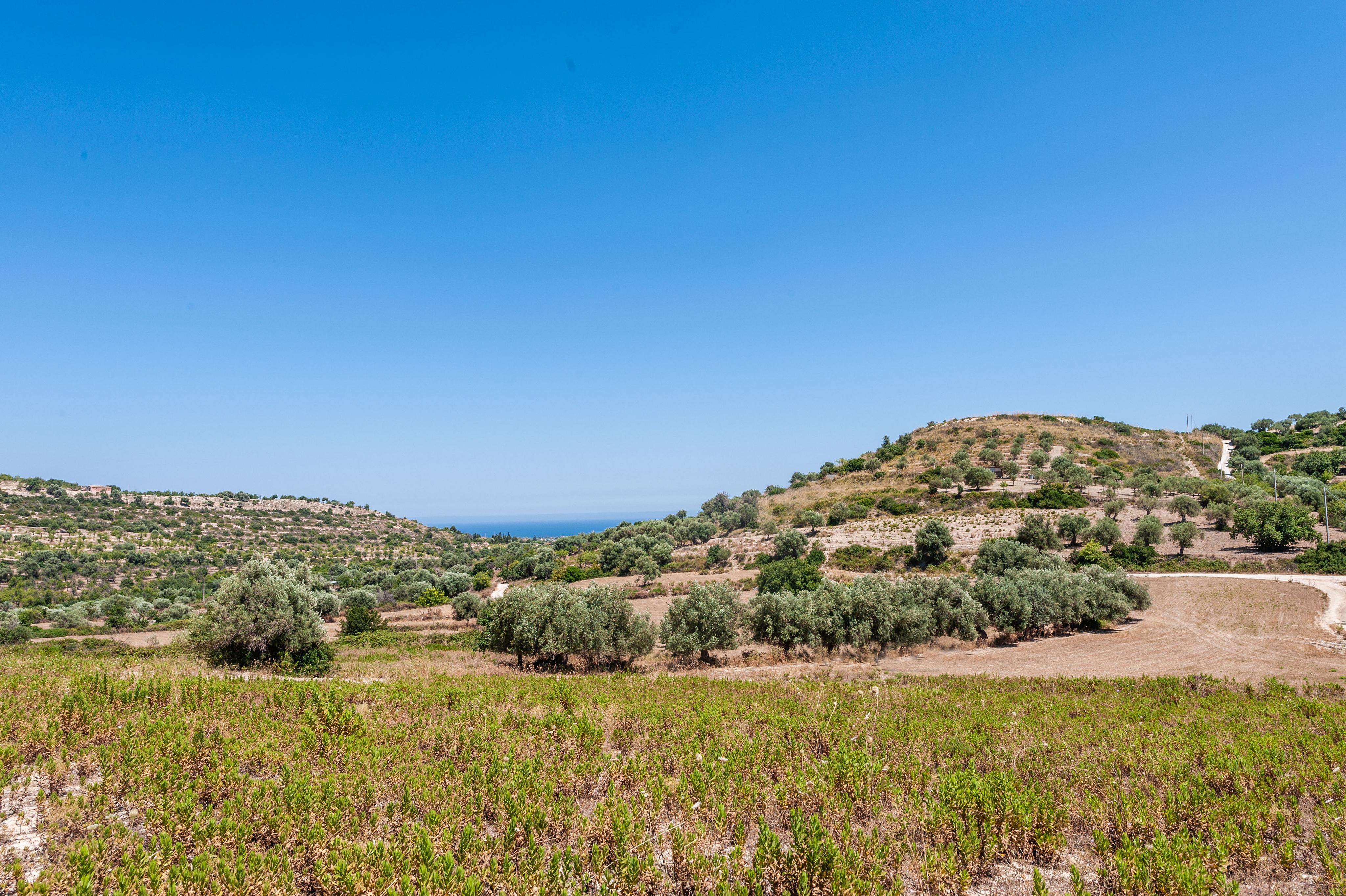 Orizzonte Bue Tra le colline di Noto