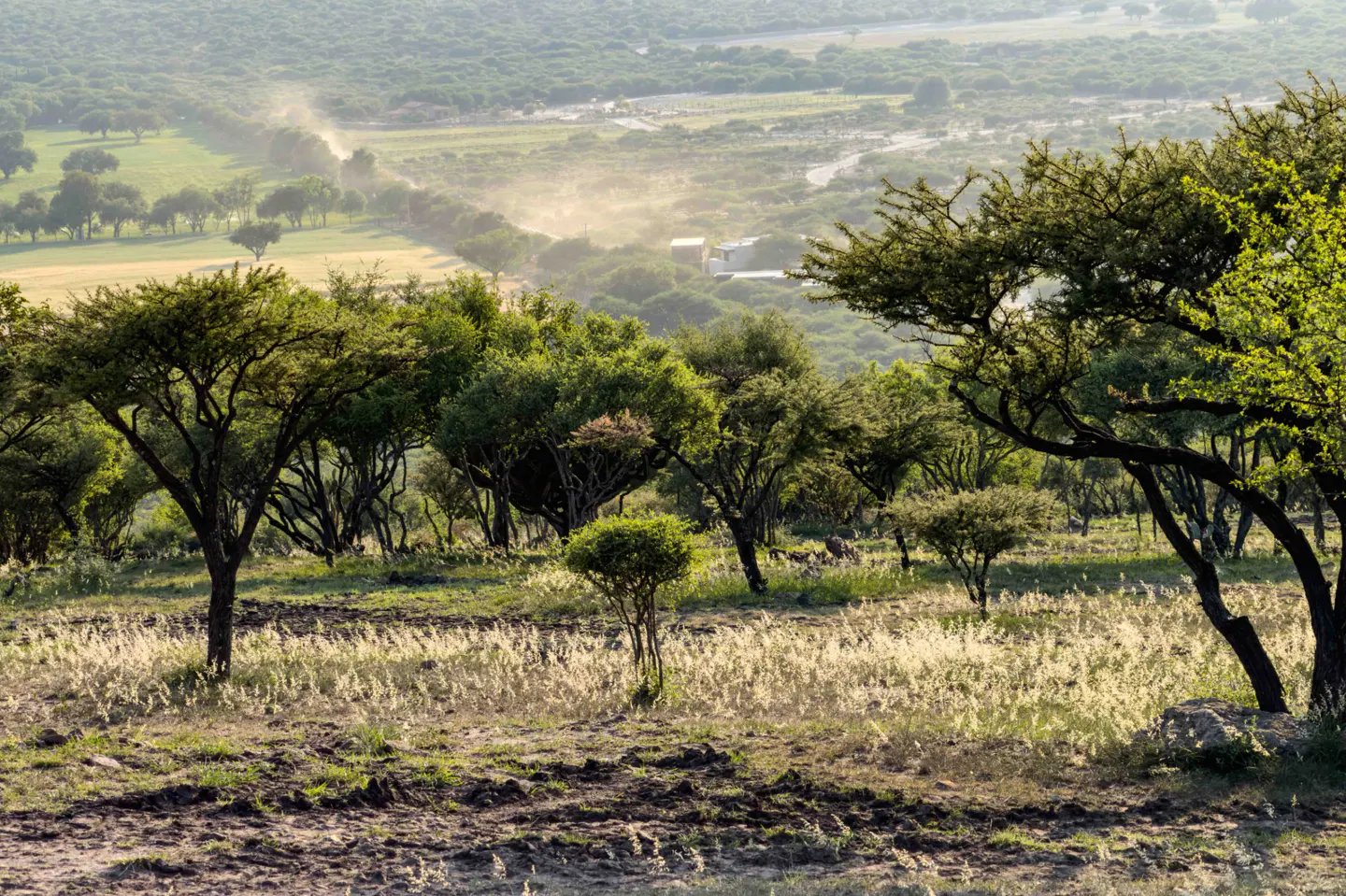 Landscape view of a field with trees and a valley in the background.