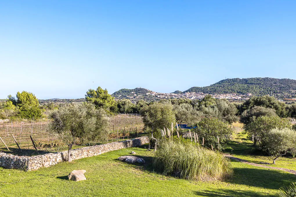 Scenic view of a vineyard with stone walls, green grass, trees, and a distant town under a clear blue sky.