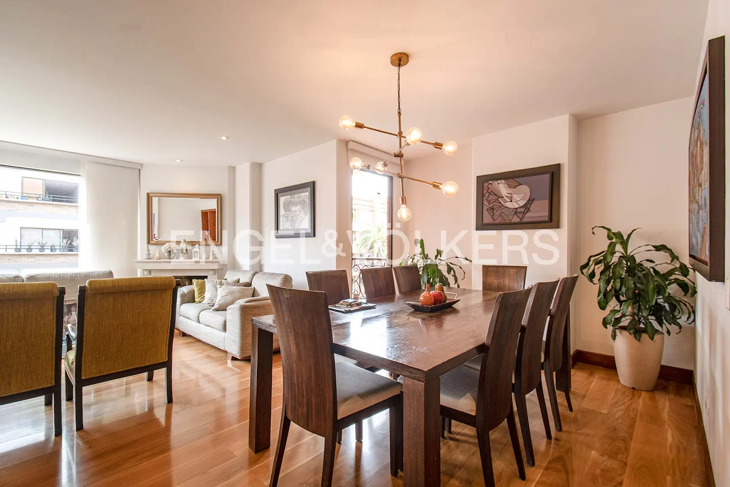 Modern dining room with a dark wood table, six chairs, a gold chandelier, and a potted plant on light hardwood floors.