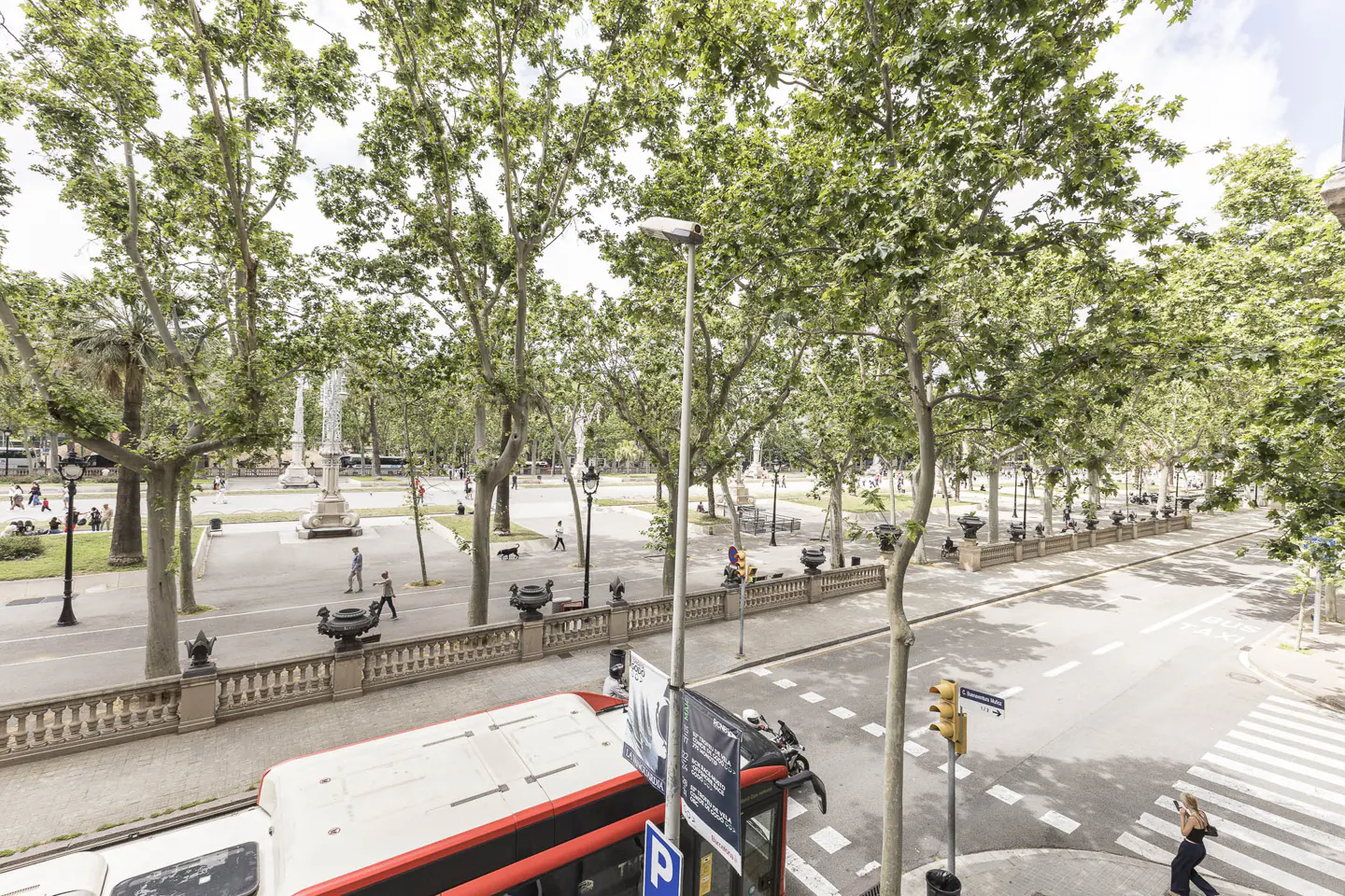 View of a park and street from above, with trees, people, and a red and white bus in the foreground.