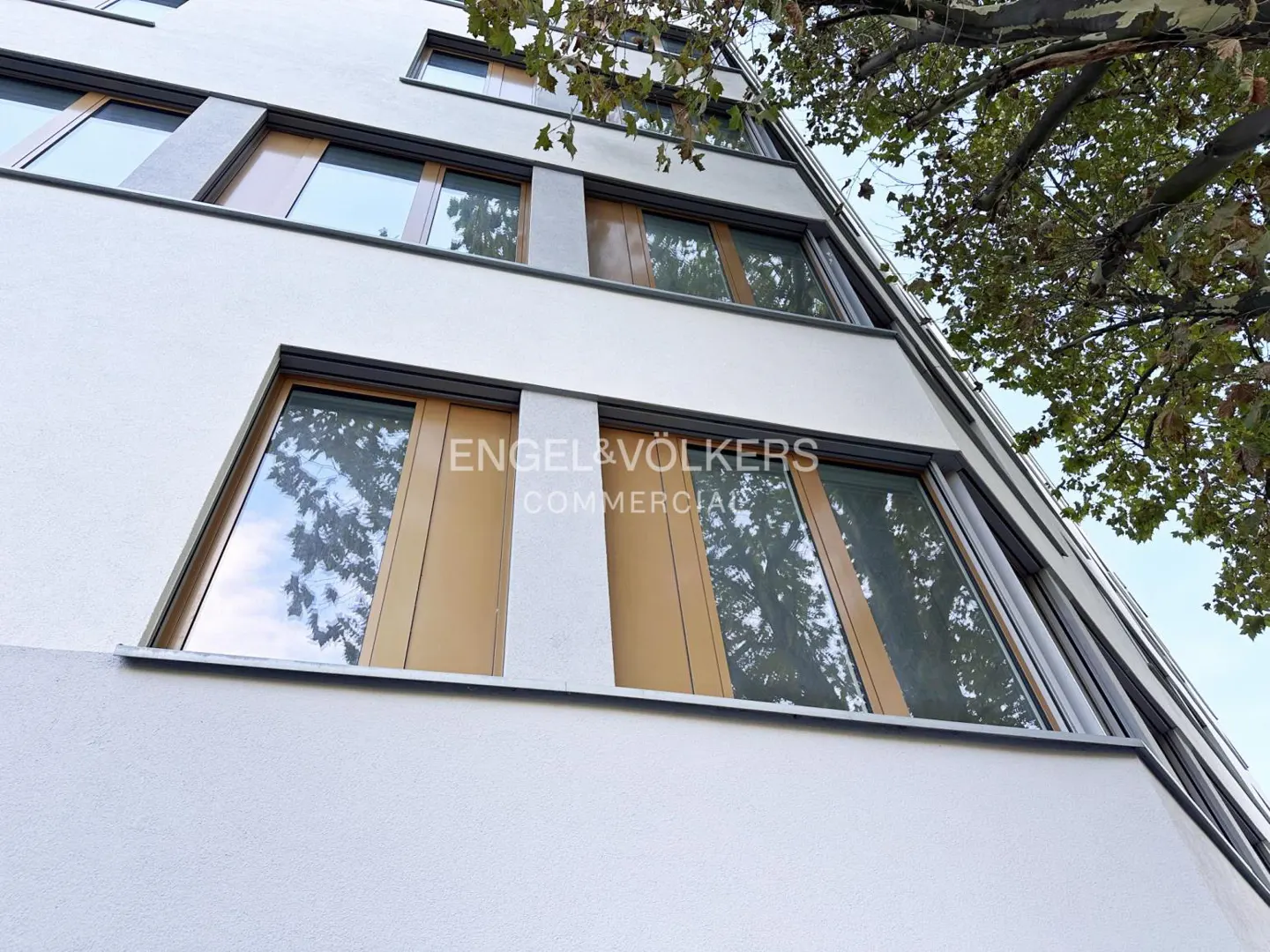 Low angle view of a white building with brown framed windows and the Engel & Völkers Commercial logo. A tree is visible in the background.