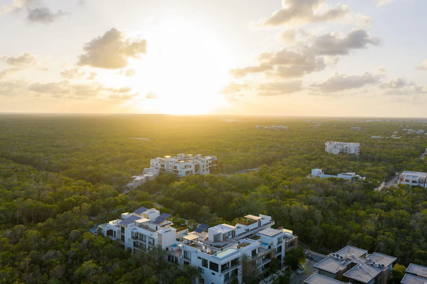 Endémico Botanic- Beautiful Two Bedroom Unit Offer In Tulum 1