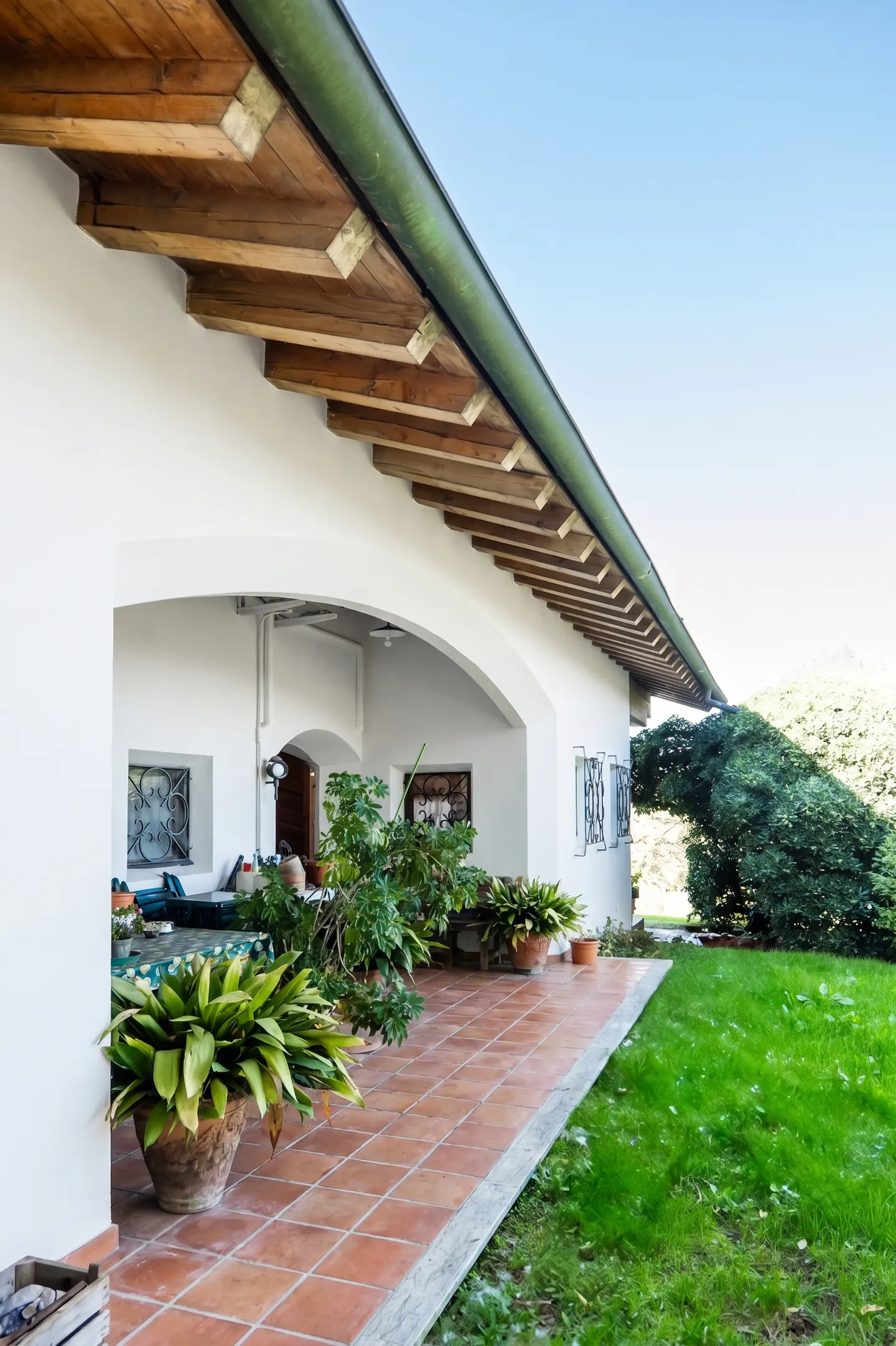 [AI-generated photo]