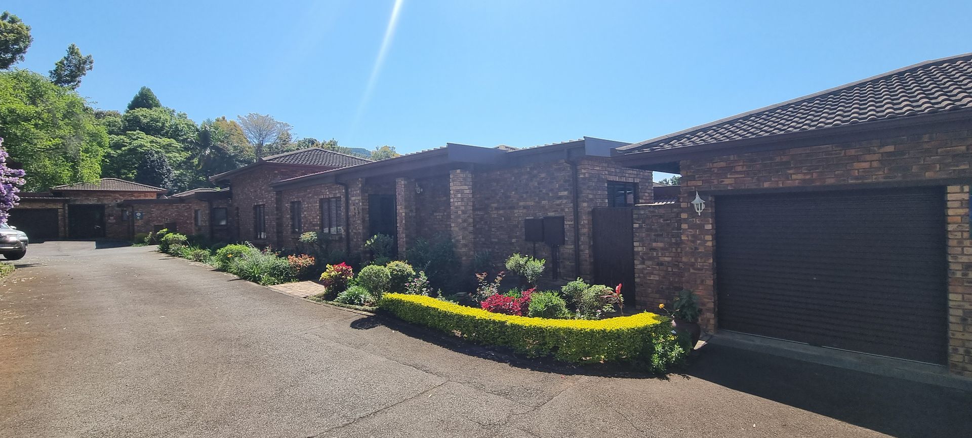 Simplex supreme in Majestic Montrose
