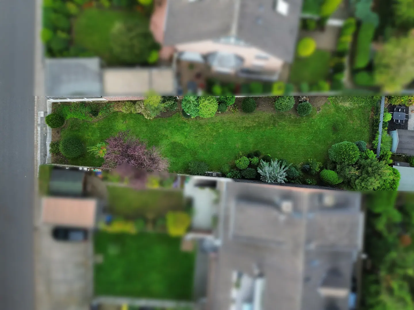 Aerial view of a long, green backyard with trees and bushes, bordered by houses and a street.