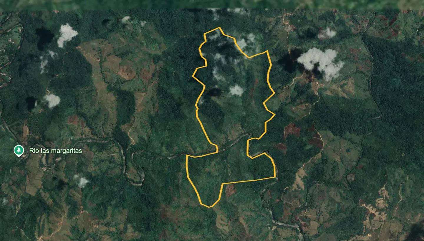 Aerial view of a green, tree-covered landscape with a yellow outline marking property lines. A river runs along the edge.