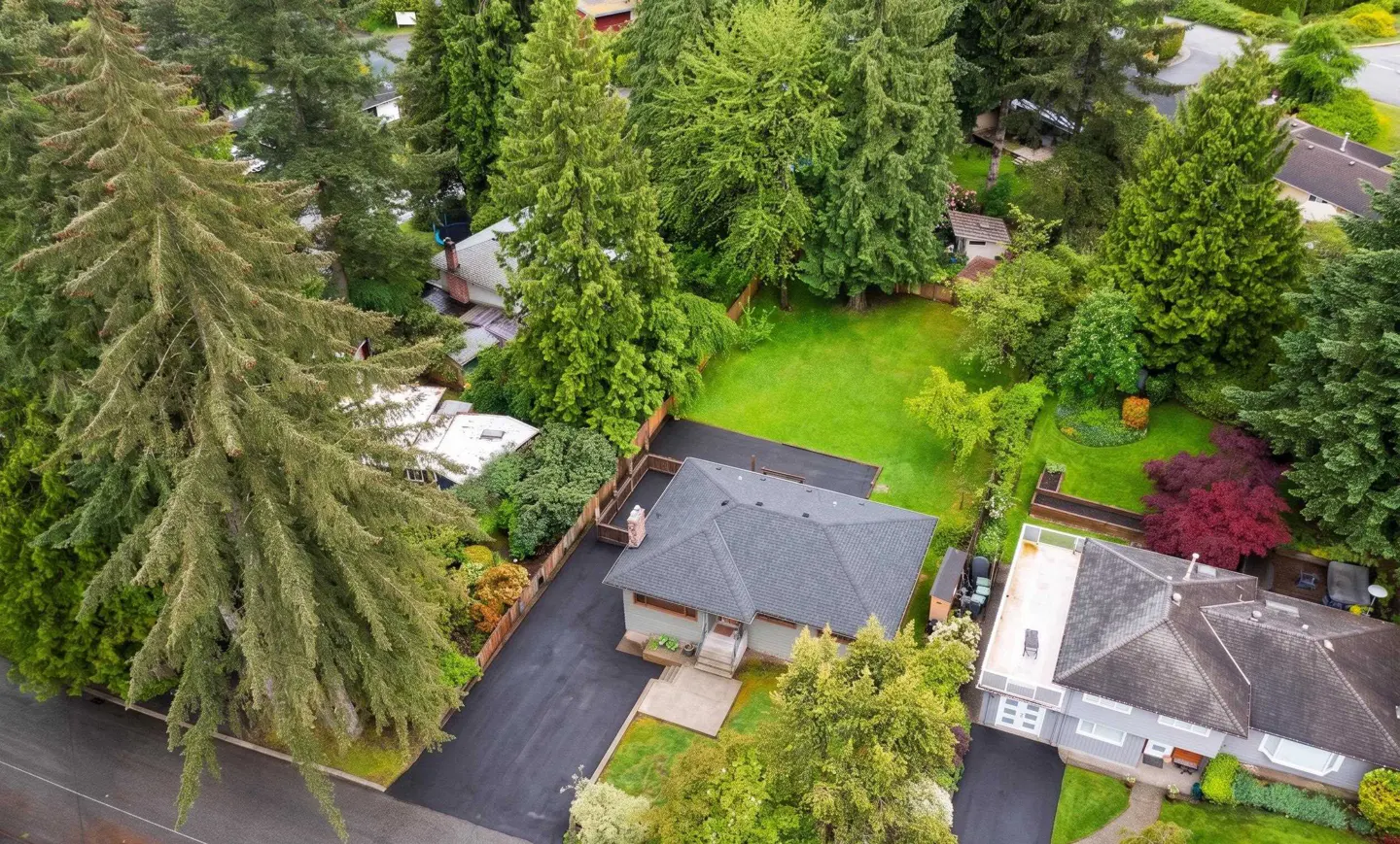 Aerial view of a house with a dark shingled roof, long driveway, and large backyard surrounded by tall evergreen trees.