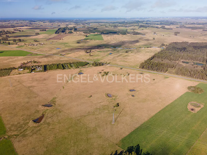Aerial view of a large, mostly brown field with scattered ponds, bordered by green fields and trees under a blue sky.