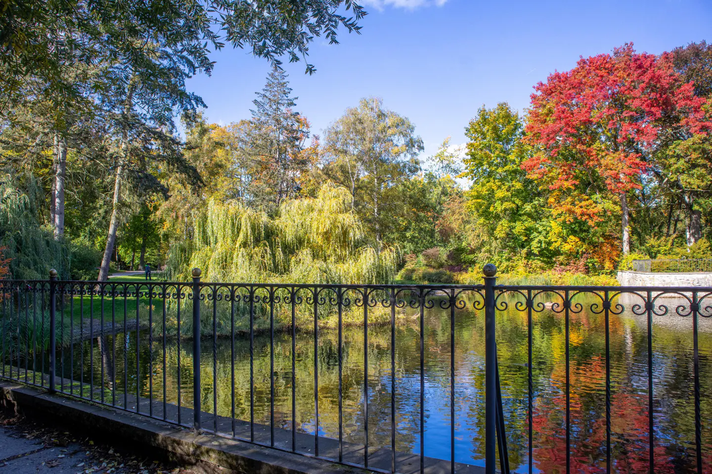 Scenic view of a pond with colorful autumn trees reflected in the water, seen through a black wrought iron fence.