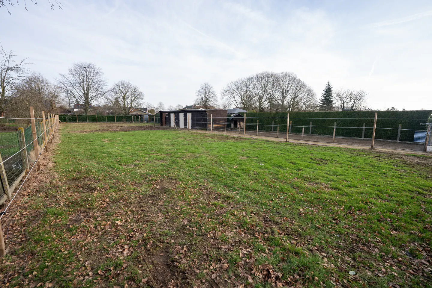 A fenced, grassy backyard with scattered leaves, a small dark shed, and a tall hedge under a bright, cloudy sky.