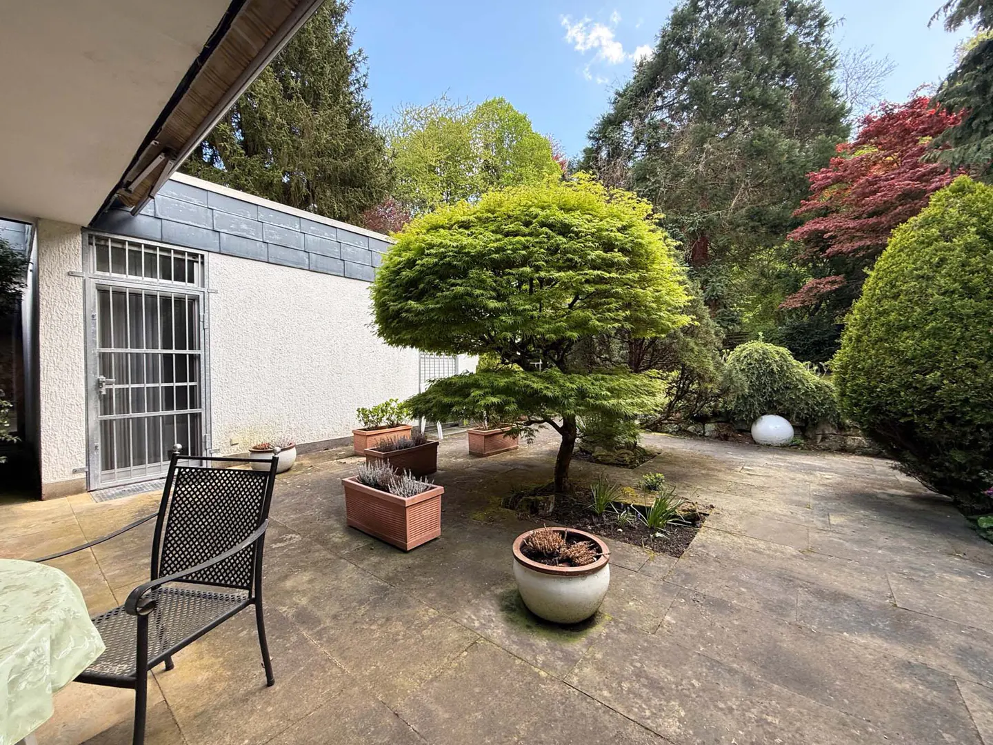 A patio with a small tree, potted plants, and a chair. A white building with a barred door is visible. Trees are in the background.
