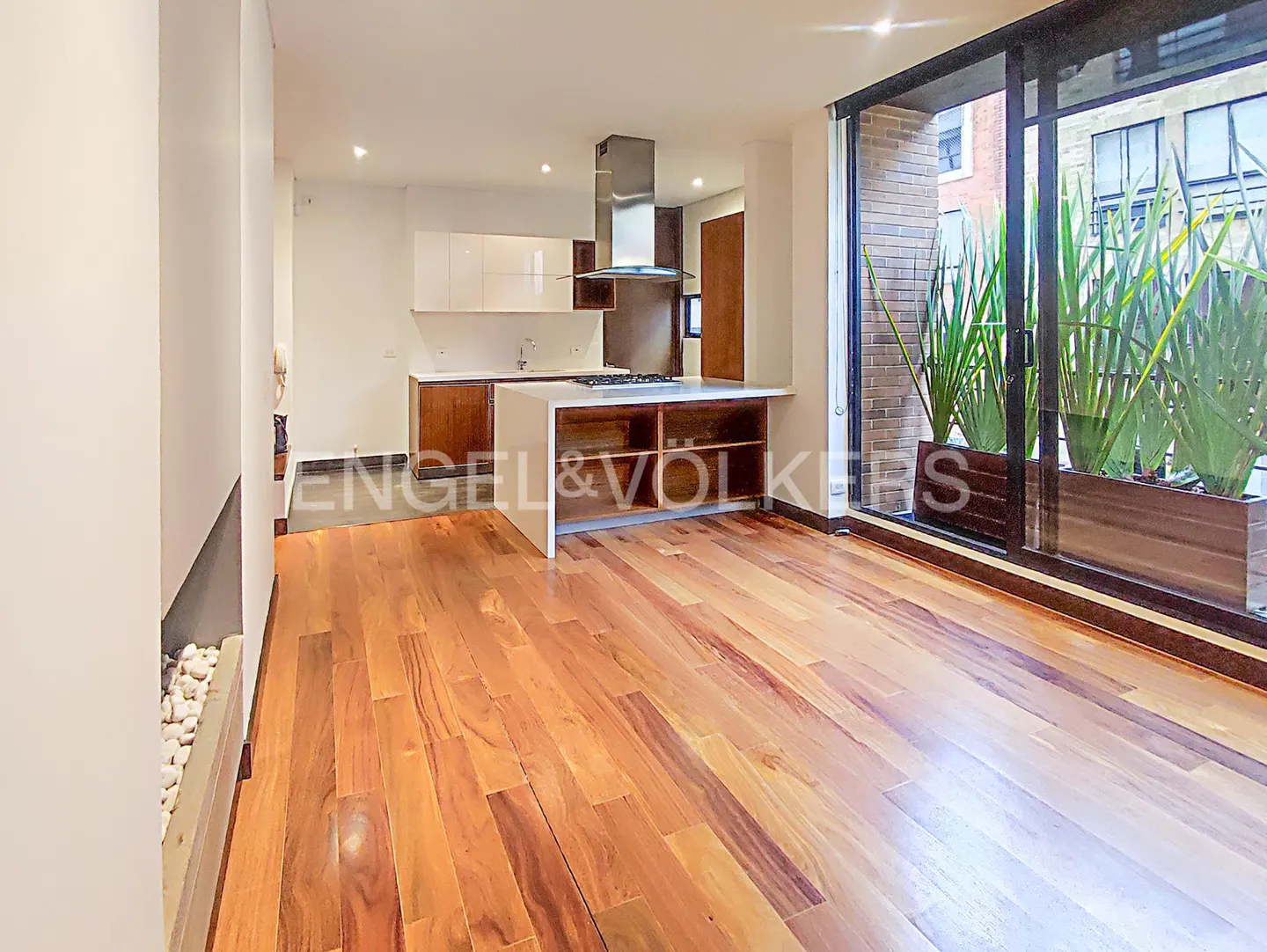 Open-concept kitchen and living area with wood floors, island, and large window with plants.