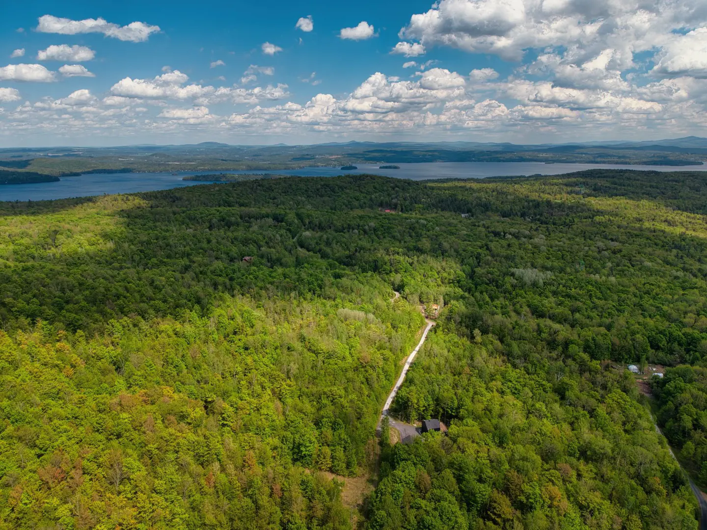 Aerial view of a lush green forest with a winding dirt road leading to a house, under a blue sky with white clouds. A lake is visible in the distance.