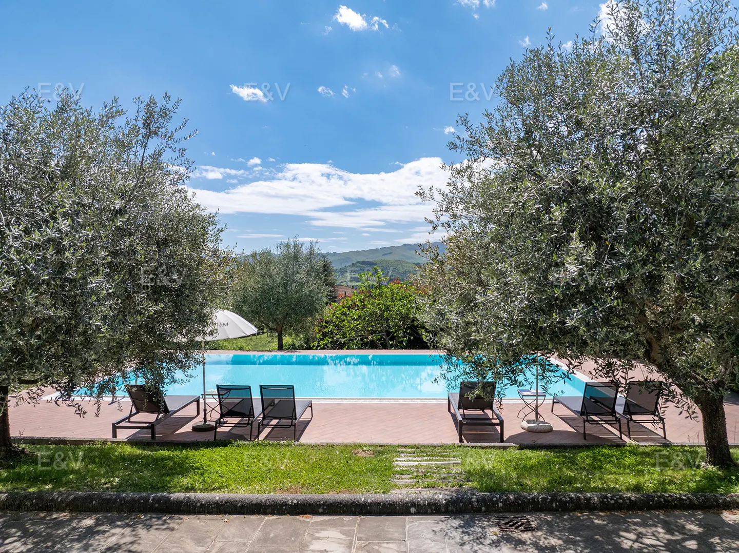 A serene pool scene with lounge chairs, framed by olive trees under a blue sky with scattered clouds.