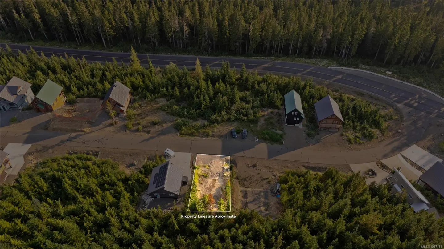 Aerial view of a vacant lot outlined in white, surrounded by trees and cabins. A road winds through the forest in the background.