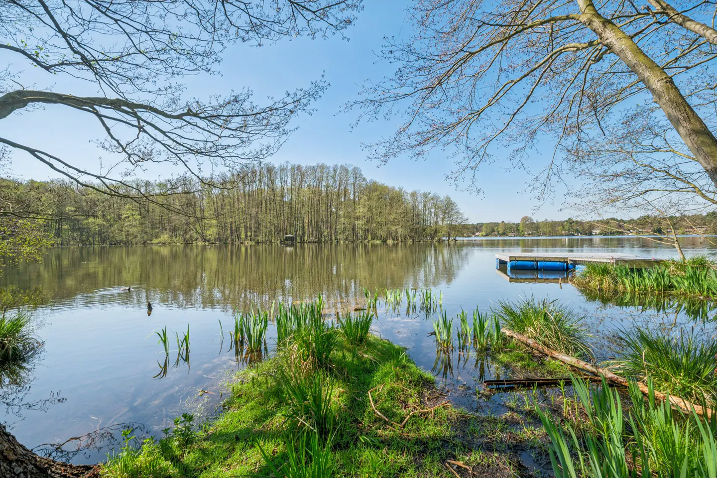 Scenic view of a calm lake reflecting trees under a blue sky. A small blue dock sits on the water near green reeds.