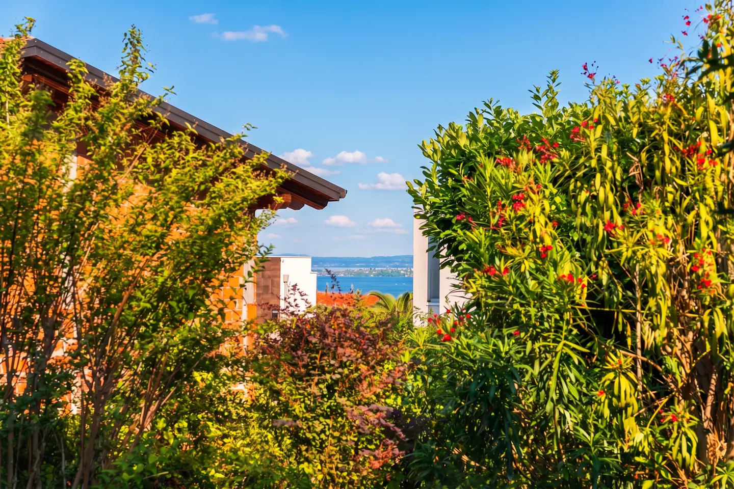 View of a lake through lush greenery and buildings. Blue sky with clouds above.