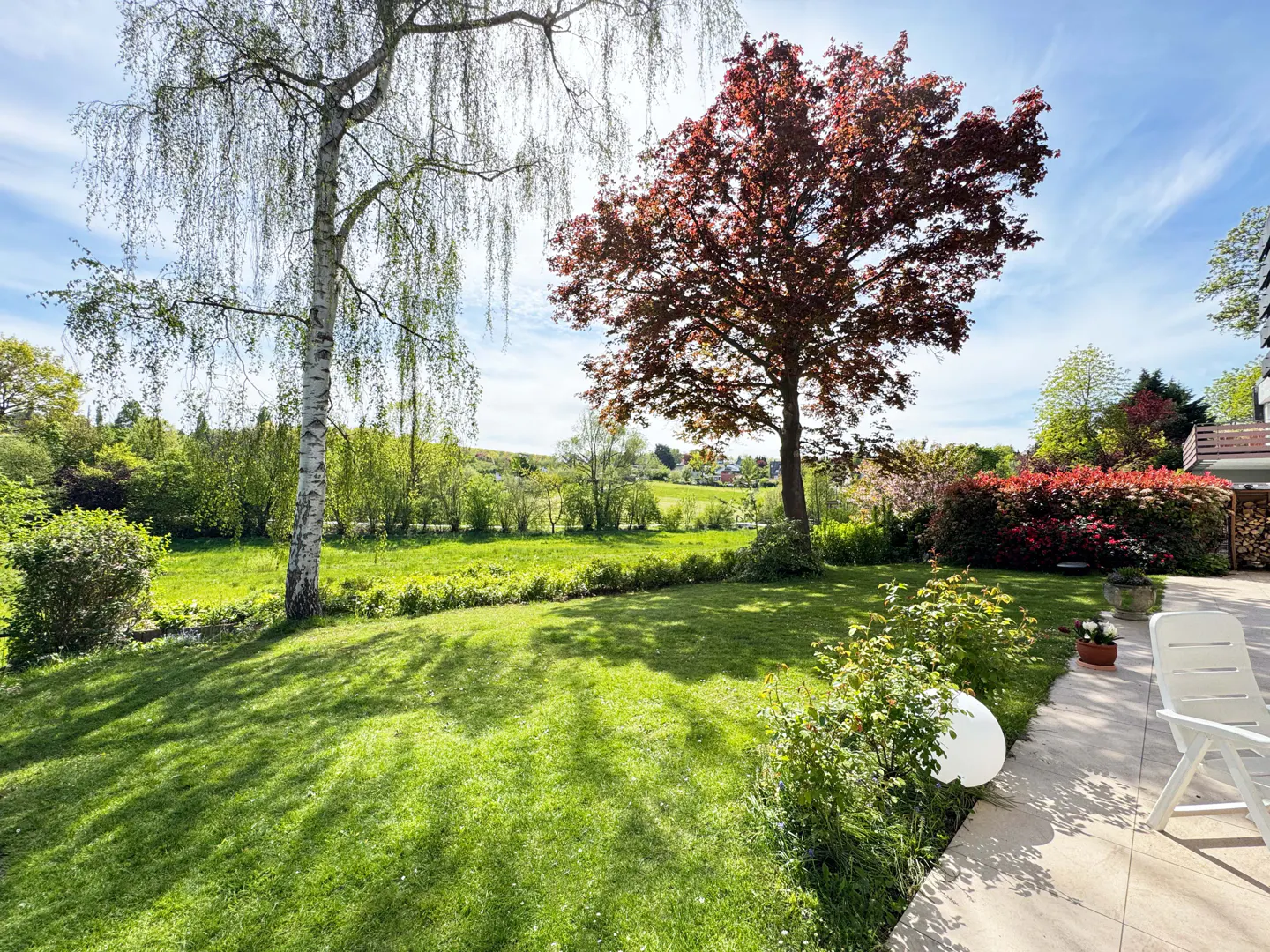 Lush green backyard with trees, lawn, and patio. A birch tree and a red-leaved tree stand out. A white chair sits on the patio.