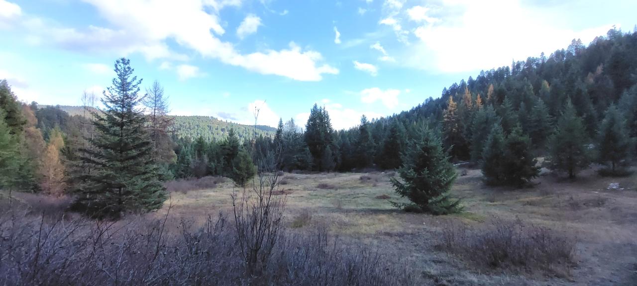 40 Acres of Pure British Columbia Wilderness