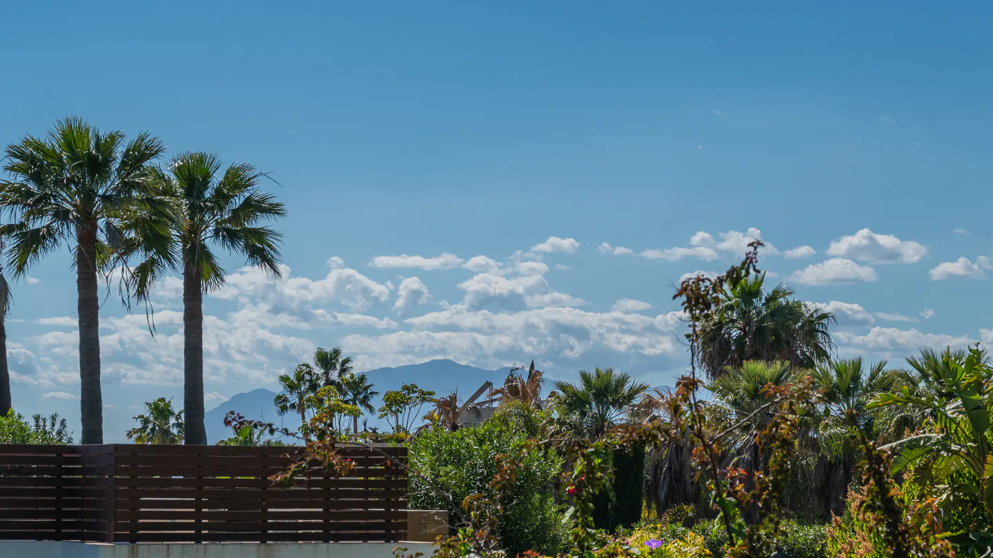 Palm trees and lush greenery under a blue sky with scattered clouds. A brown wooden fence is in the foreground. Mountains are visible in the distance.