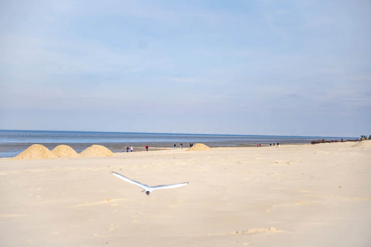 A seagull flies over a wide, sandy beach with small dunes, distant figures, and a calm blue sea under a pale sky.