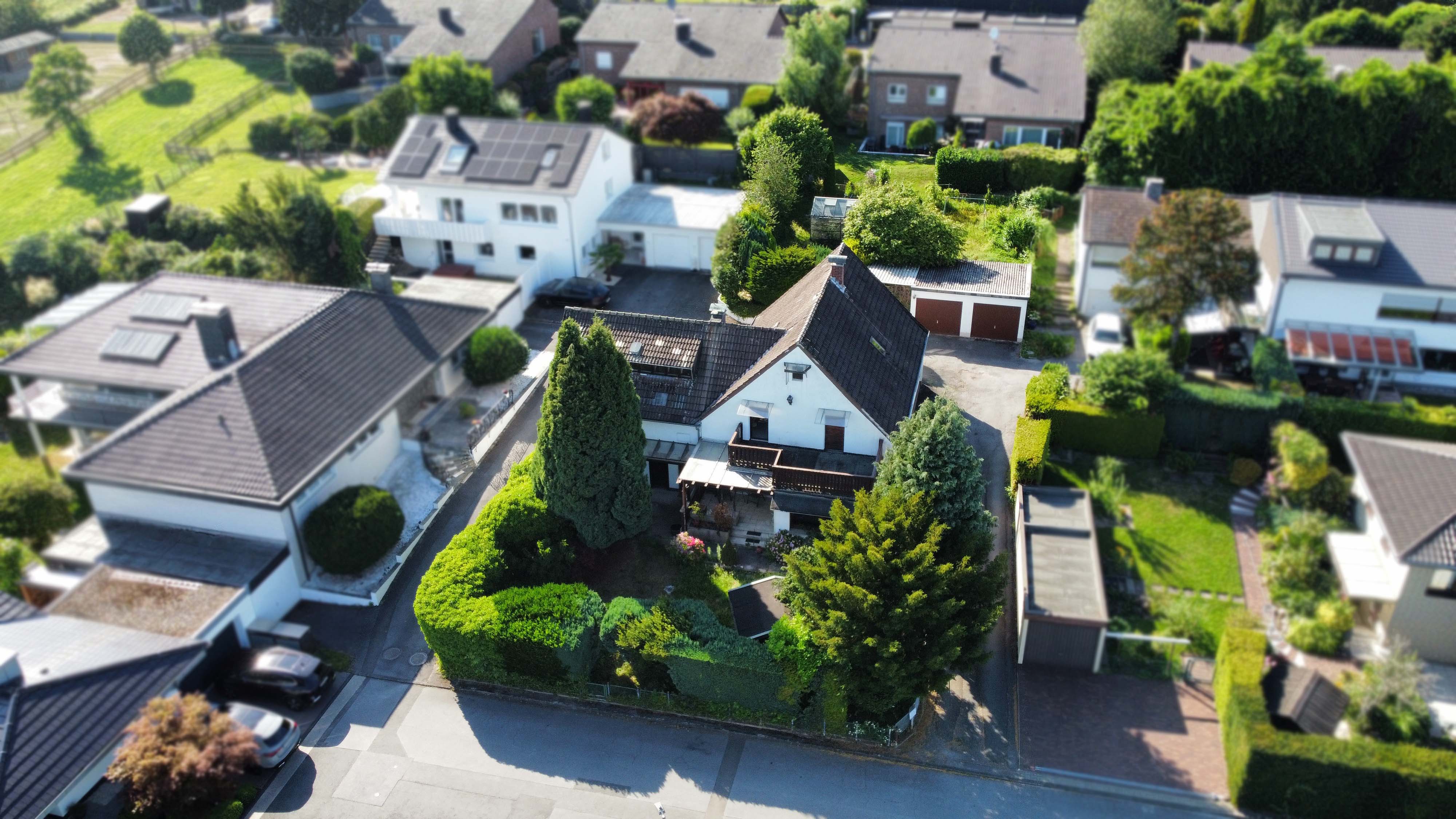 Mit Ausblick in die Zukunft