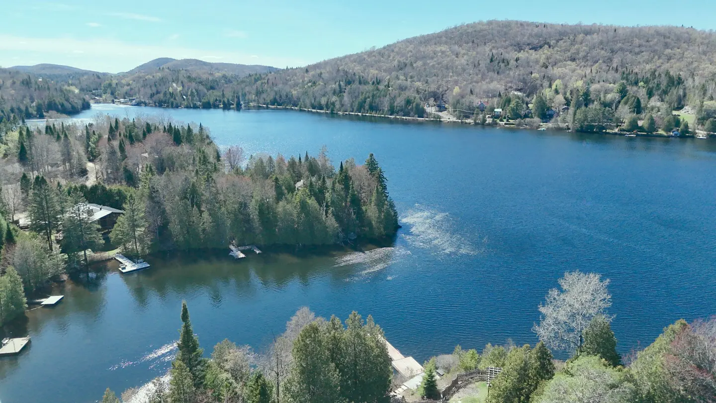 Aerial view of a blue lake surrounded by green trees and mountains under a clear blue sky.