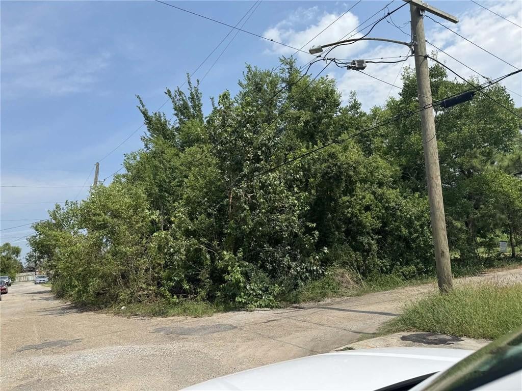 A vacant, wooded lot at a street corner with a utility pole, green trees, and a paved road under a blue sky. [AI-generated text]