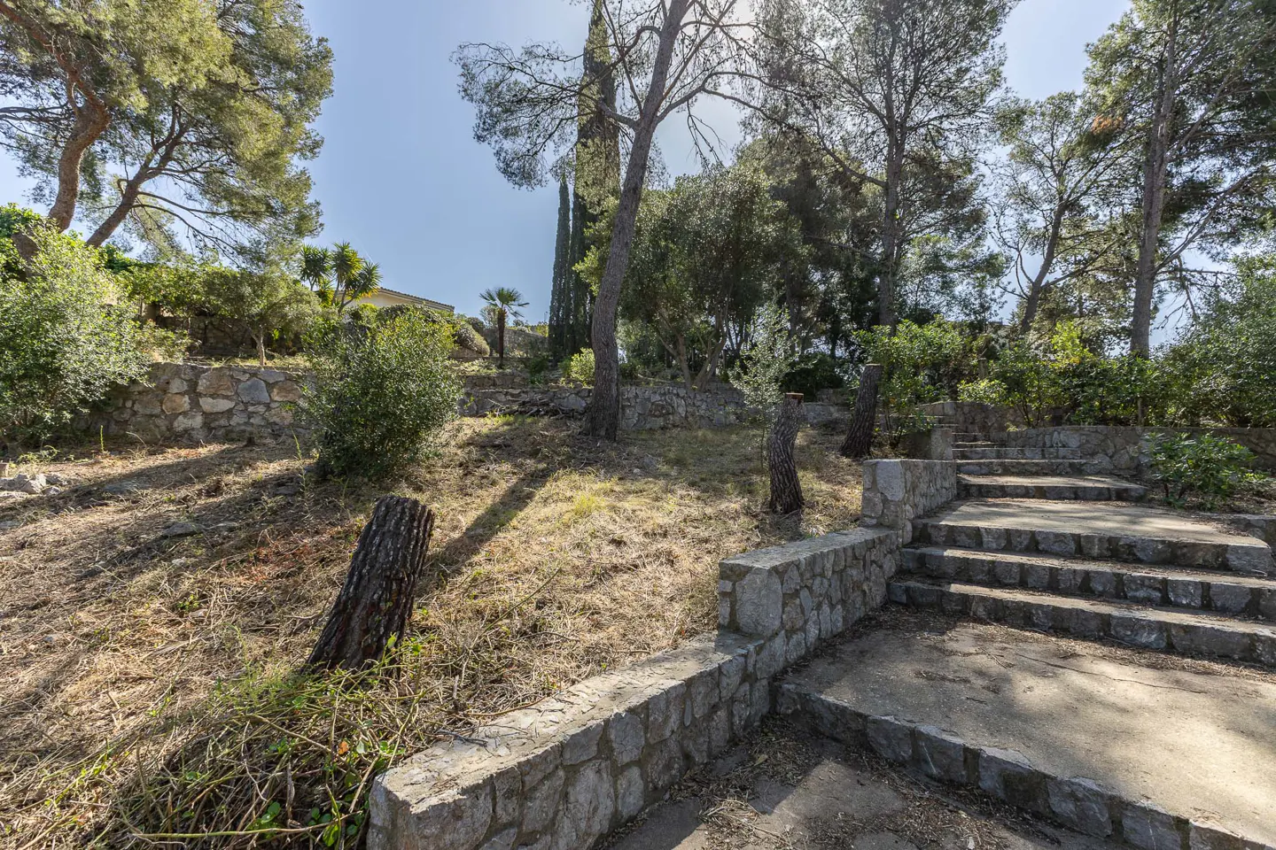 Stone steps lead up a hillside with trees and shrubs. Stone retaining walls line the path. The sky is blue.