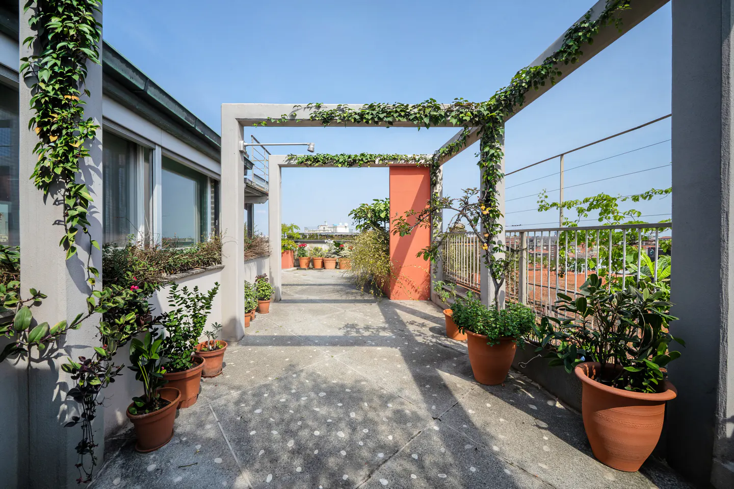 Rooftop garden with potted plants, concrete pergola covered in vines, and a view of the city skyline.