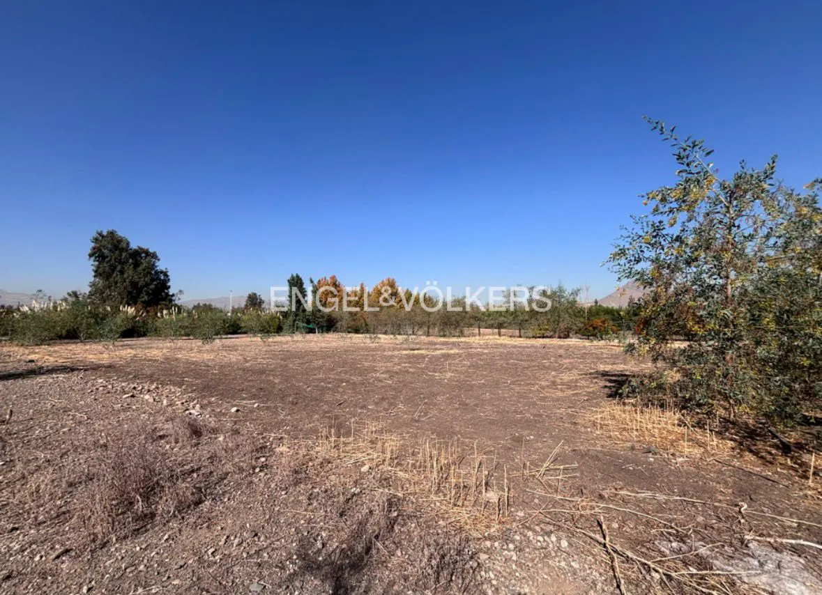 Vacant lot with dry, brown soil under a clear blue sky. Trees line the back, with the Engel & Völkers logo visible.