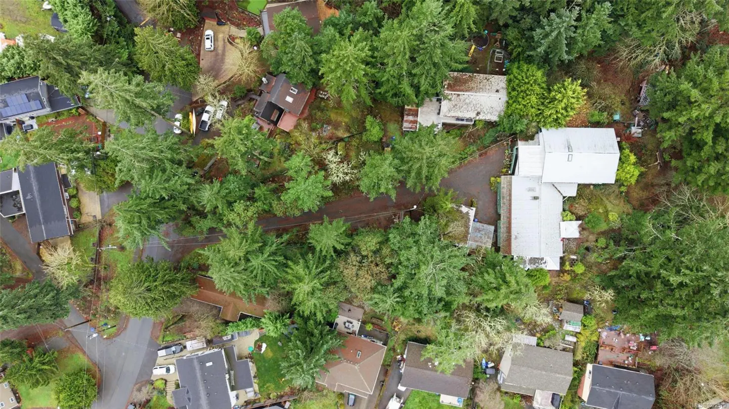 Aerial view of homes nestled among green trees, with winding roads and driveways visible.