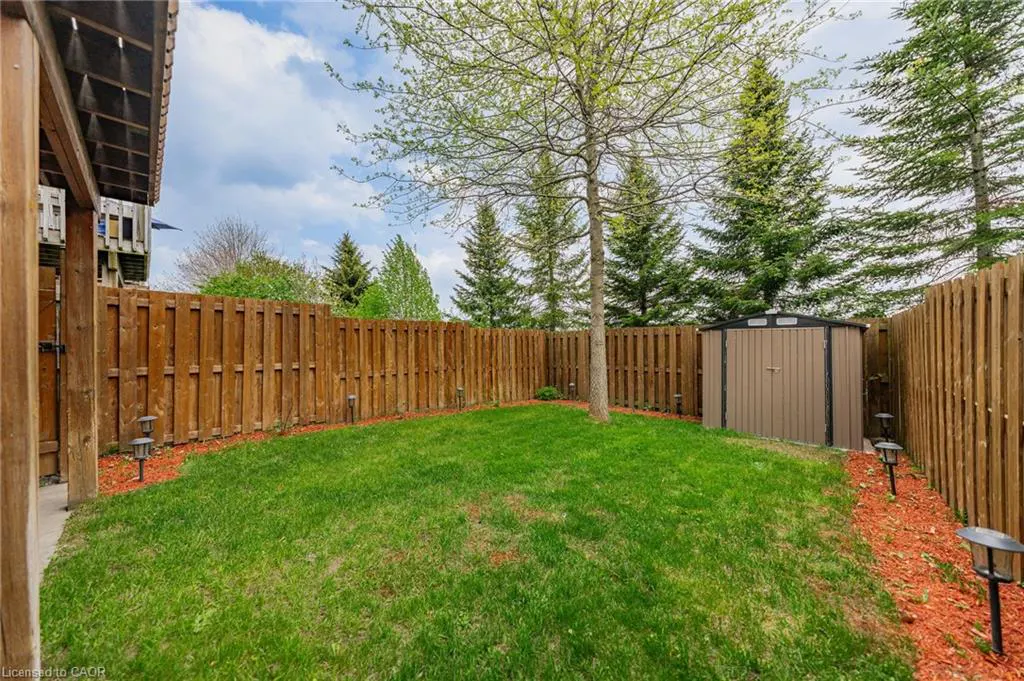 A fenced backyard with green grass, a shed, and a tree.