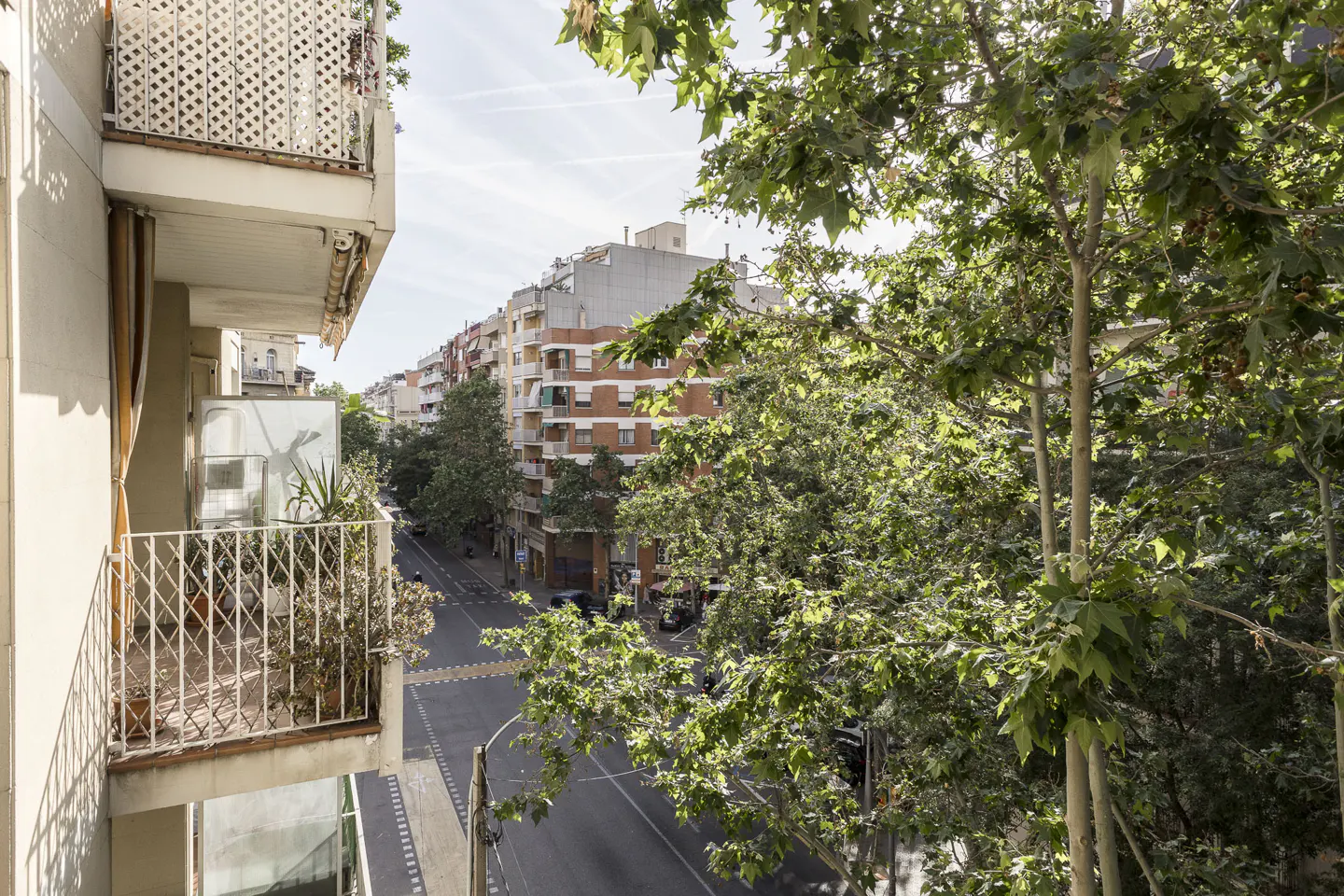 View from a balcony overlooking a city street with trees and apartment buildings. Balconies have white railings.