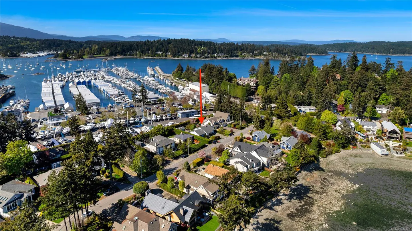Aerial view of waterfront homes near a marina filled with boats, surrounded by green trees and blue water under a clear sky.