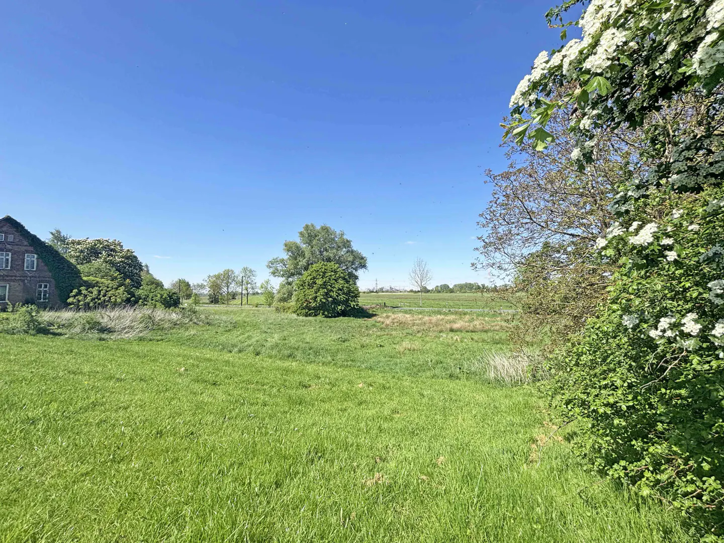 Rural landscape with a green field, trees, and a brick house under a clear blue sky. White blossoms frame the right side.