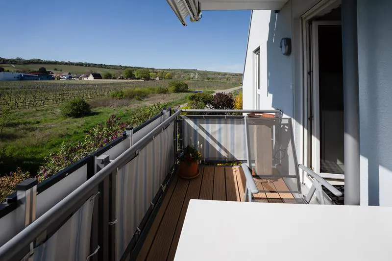 Balcony with table, chairs, and potted plant overlooking a vineyard on a sunny day.