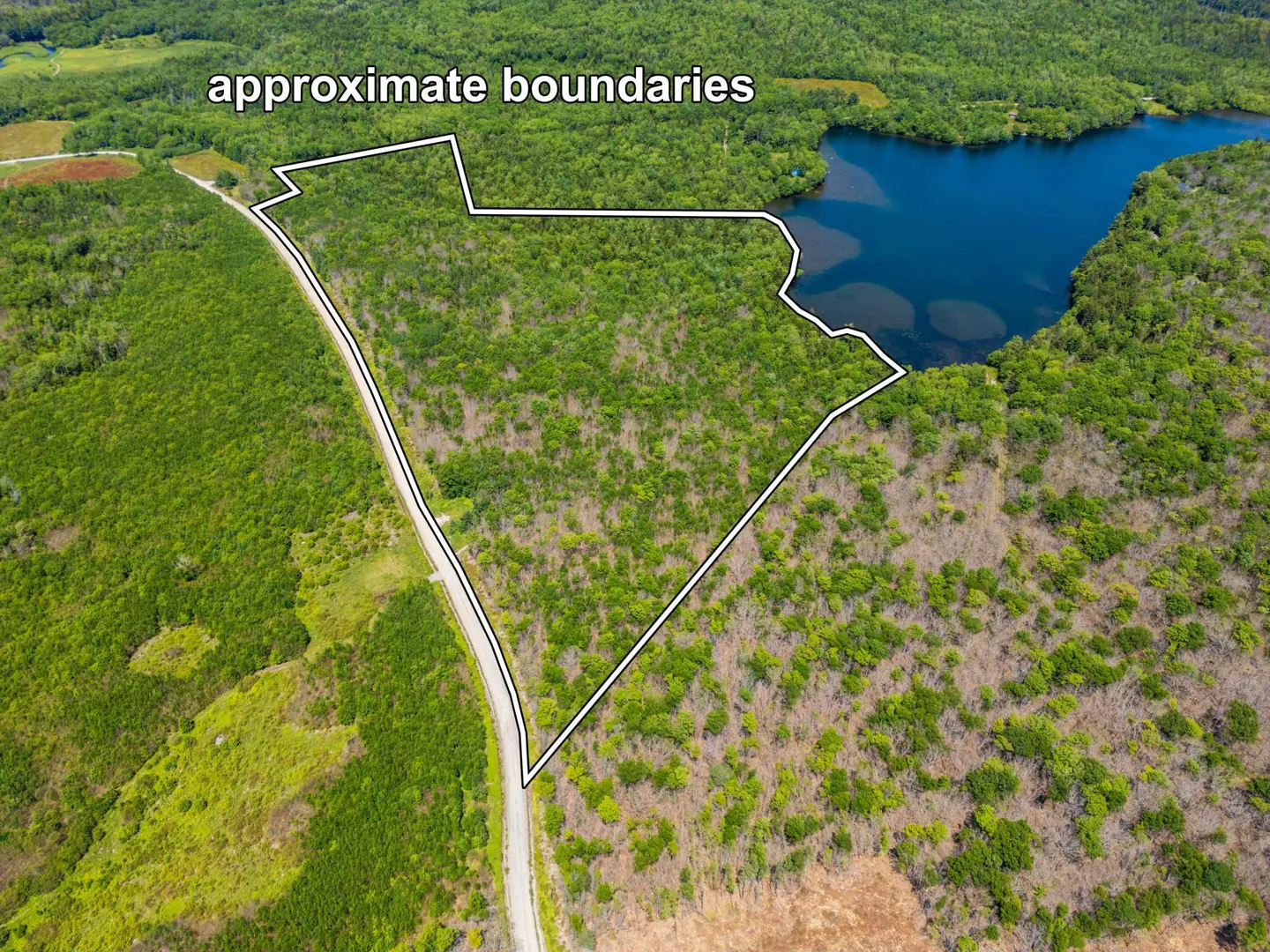 Aerial view of wooded property with approximate boundaries outlined in white, adjacent to a road and a lake.
