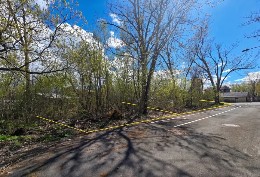 Vacant lot with trees and bushes, outlined in yellow, next to a paved road under a blue sky.